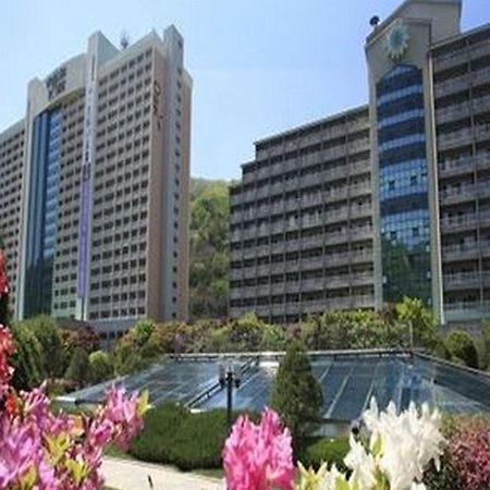 Daemyung Resort Vivaldi Park تشنتشون المظهر الخارجي الصورة