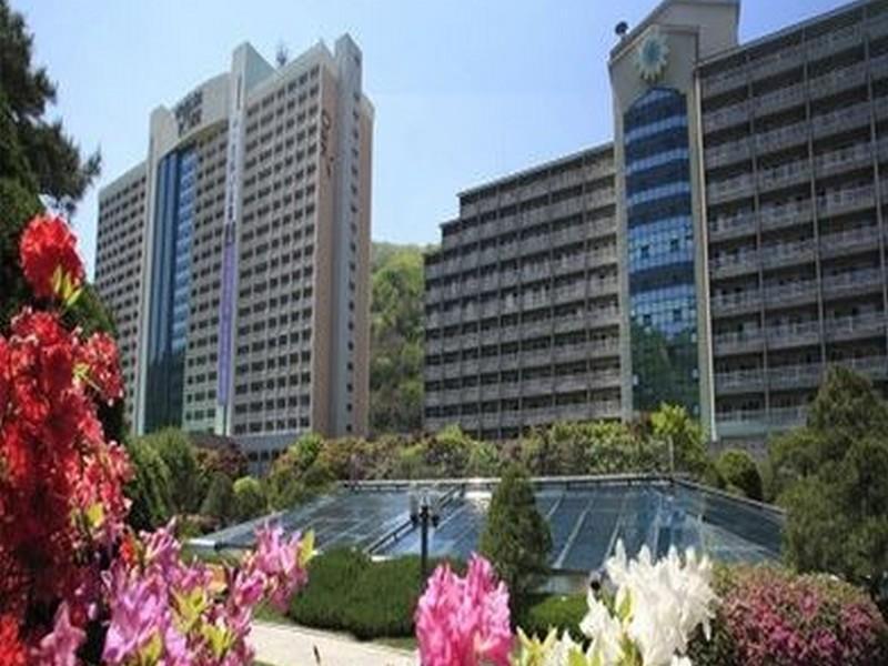 Daemyung Resort Vivaldi Park تشنتشون المظهر الخارجي الصورة